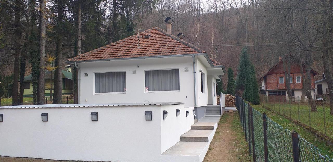 Apartmani Grza Paraćin Εξωτερικό φωτογραφία