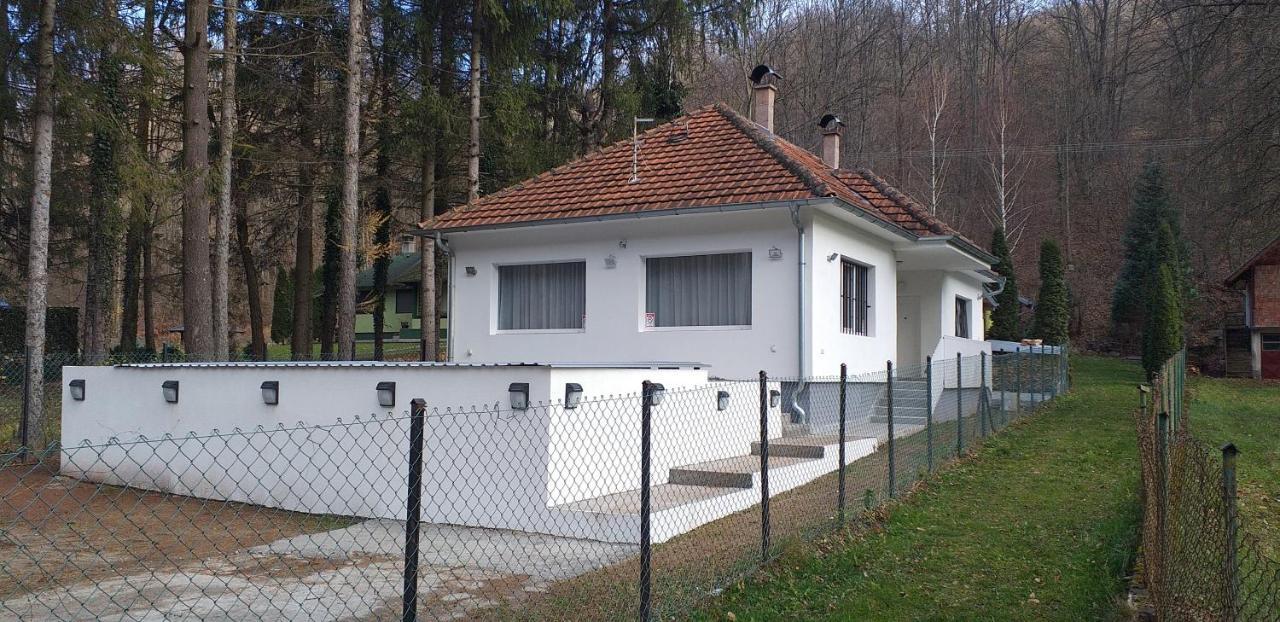 Apartmani Grza Paraćin Εξωτερικό φωτογραφία