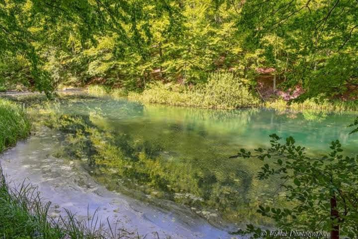 Apartmani Grza Paraćin Εξωτερικό φωτογραφία